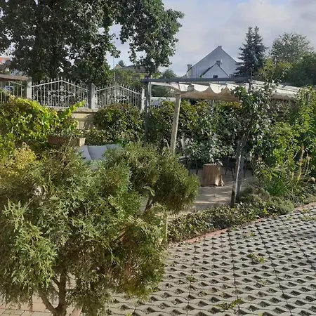 Green Frantiskovy Lazne