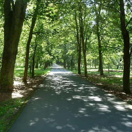 Apartament Green